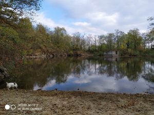 Redmi Note 7_vzorka_fotografie (6)